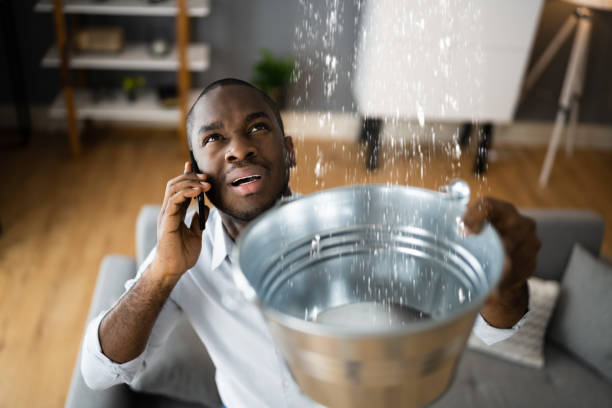 Best Mold removal after water damage  in Hanover, OH