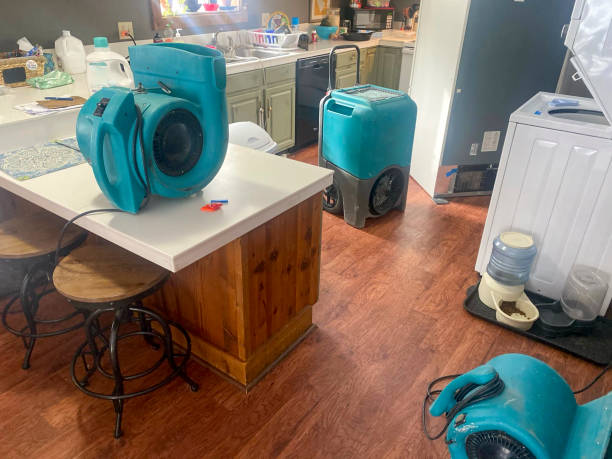  Hanover, OH Water damage restoration Pros