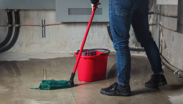 Best Mold removal after water damage  in Hanover, OH