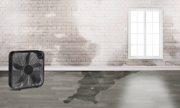 Best Local water damage restoration  in Hanover, OH